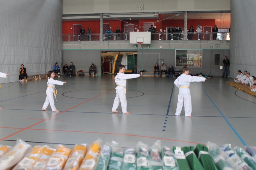 IMG 9990