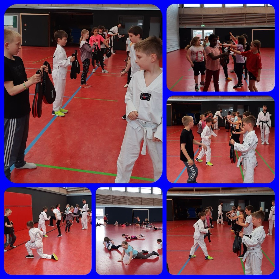 Neuler TKD 2