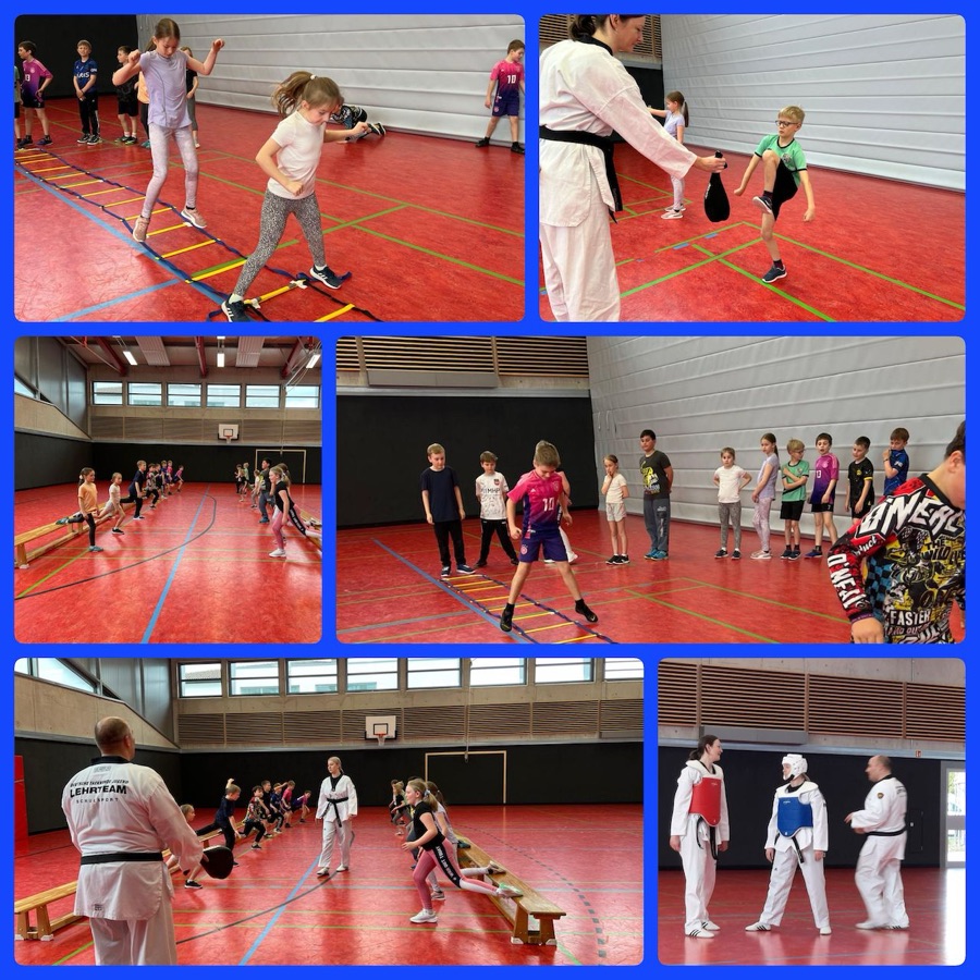 Neuler TKD 3