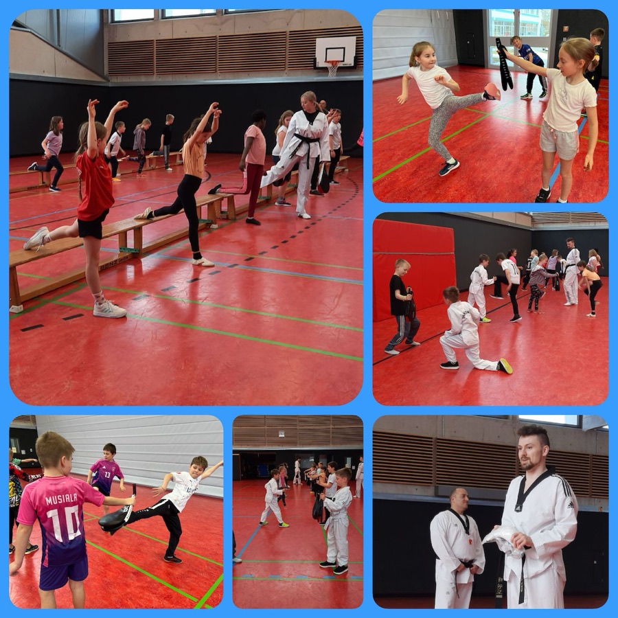 Neuler TKD 4